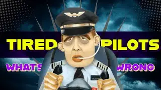 3 pilots dead in 2 days! Airline pilots are in trouble?