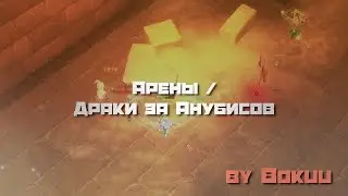 Аренки / ПВП в пире за анубов