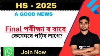 Hs 2025 Final/ How to study?