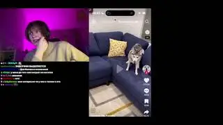 Дипинс про Ашку