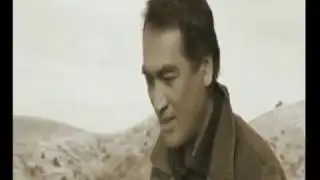 Сиви или Превратность Судьбы