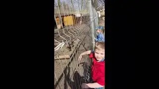 Смотри какой классный зоопарк в Воронеже!!!
