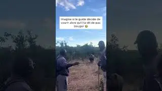 J'ai failli me faire charger par un rhinocéros.