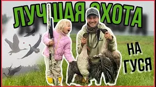 Лучшая охота на гуся в моей жизни