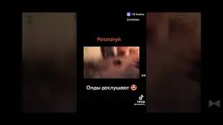 Рататуй 