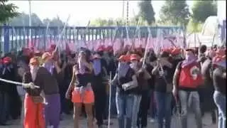 MST Invade empresa e destrói trabalho de anos