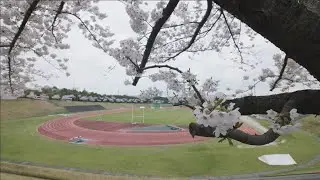A Spring Day at Biwako Kusatsu Campus
