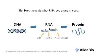 Survey the Epitranscriptome with EpiScout Analysis Software
