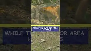 Massive Wildlife Refuge 20 minutes North of Vegas