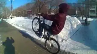 Bike- Stunt [1]