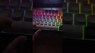 Dark project Kd83A PBT RGB Mech G3MS Sapphire (DPP83_GSH_HAVY_ANSI_UA) Ivory/Havy blue #keyboard