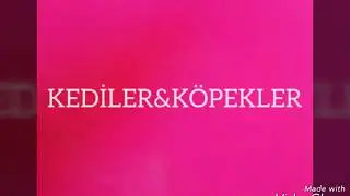 Kediler&Köpekler