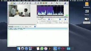 How to make SRT using Aegisub