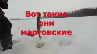 Клюёт ,  а как вы думаете ?