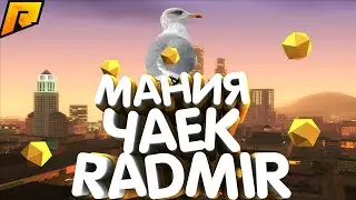 RADMIR 3 SERVER. ЧАЙКИ!!!!!