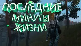 DayZ - Баги, Приколы.