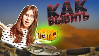 как получить Recoil Case / как выбить новый кейс /