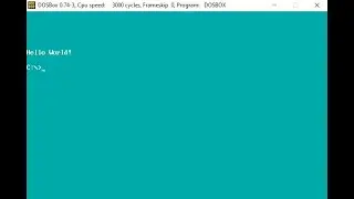 COS2621 - DOSBox Screen and Cursor