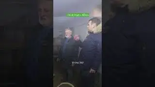 Яйца Вас озолотят 