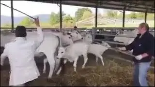 Anneme dokunan uçan tekmeyi yer :)