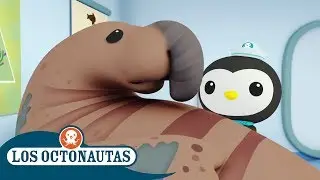 Los Octonautas Oficial en Español -  | Episodios completos