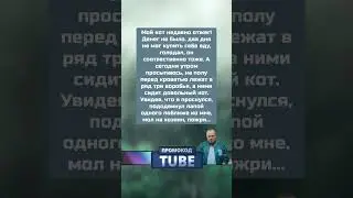 История из жизни