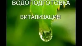 12 базовых свойств воды и продукты Coral Club Ольга Бутакова