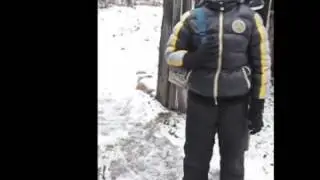 Маршак Самуил Яковлевич «Кот и лодыри»