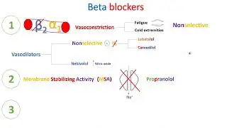 Beta blockers - Part 1 - in Arabic