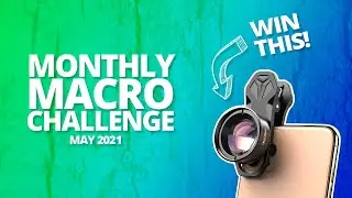 Macro Photography Challenge [May 2021]