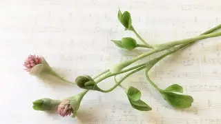 Клевер из полимерной глины. Мастер-класс