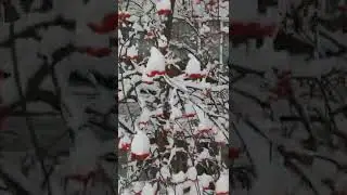 27 апреля 2022 г.