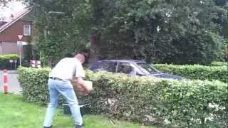 Huge Swarm of Bees / man is searching the queen bee