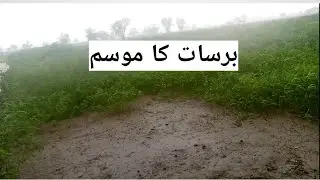 Rain In Pakistan