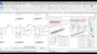Multiple Rebar Tag in Revit 2023