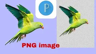 How to make png image in PixelLab || remove background || HD png making by 505 tech&Edits