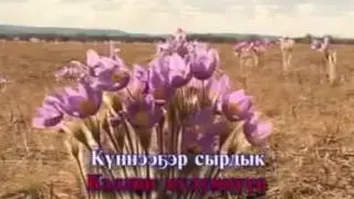 Эн кэллин