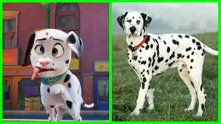Puppy Dog Pals Characters In Real Life Part 02