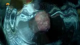СОЧНАЯ СВИНАЯ РУЛЬКА.РЕЦЕПТ ХОЛОСТЯКА 2020
