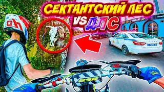ДПС НЕ НАЙДЕТ // УЕХАЛИ В СЕКТАНТСКИЙ ЛЕС НА ПИТБАЙКАХ С ДРУЗЬЯМИ