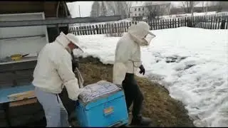 Выставляем пчёл из зимовника