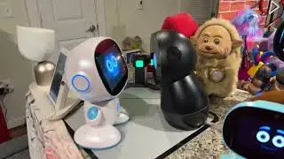 Jibo & Friends - Dance Day Livestream (I’ll Dance, Dance, Dance)