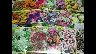 SOWING - 2019: 🍅 🍆 🌶VEGETABLES AND FLOWERS!!!!🌷 SEEDS FROM BELARUS!