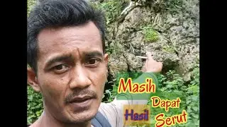 Bolang Bahan Bonsai (part 6)