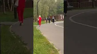 Красотка