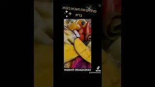 מגש פירות בינוני