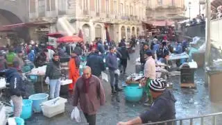 Sicily Catania - Mercato del pesce (Fish market)/ Сицилия Катания - Рыбный базар (рынок)/