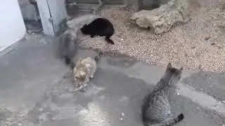Моя еда!!!
