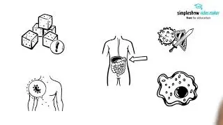 Azubi-Tutorials zur Medizinlehre - Diabetes