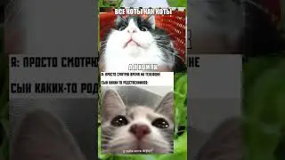 #мем #memes #мемы #мемчик